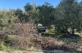 Istria, Medolino, terreno edificabile prima fila a Mora