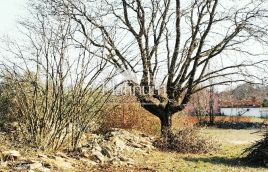 Building land in a quiet location