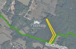 Istra,Šišan šuma na prodaju