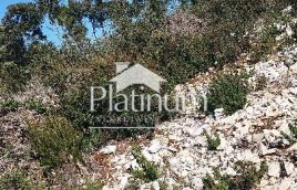 Istria , Pavićini terreno agricolo a 500 m dal mare