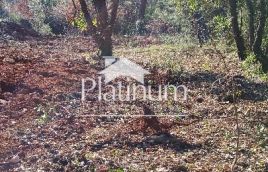 Istria, Pavićini land for sale