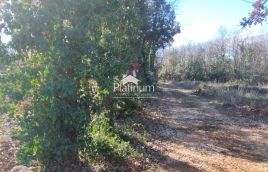 Istria, terreno agricolo Pavićini in vendita