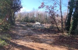 Istria, terreno Pavićini in vendita