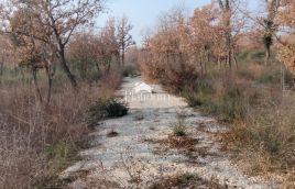 Istria, Peroj terreno agricolo superficie 575m2