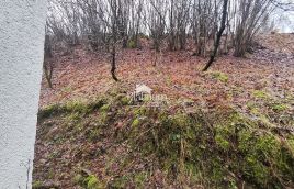 Gorski kotar,Gerovo kuća s potencijalom