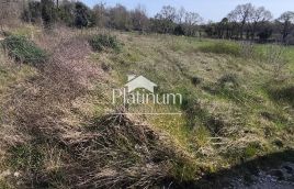 Istra,Šišan poljoprivredno zemljište u prodaji