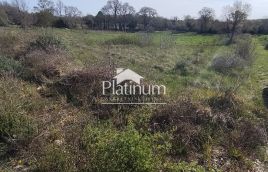 Istra,Šišan poljoprivredno zemljište u prodaji