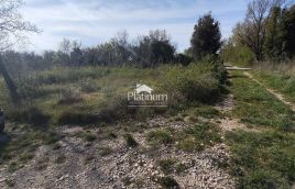 Istra,Šišan poljoprivredno zemljište u prodaji