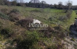 Istra,Šišan poljoprivredno zemljište u prodaji