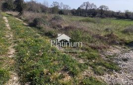 Istra,Šišan poljoprivredno zemljište u prodaji