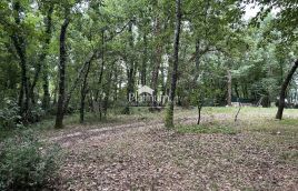 Istra, okolica Žminja, jedinstveni legalizirani objekt u prirodi