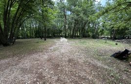 Istra, okolica Žminja, jedinstveni legalizirani objekt u prirodi