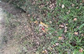 Istra, Šišan, poljoprivredno zemljište