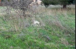 Istria, Fasana, vecchia casa con grande terreno