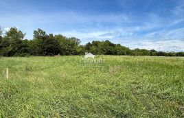 Istria, Šišan, terreno agricolo più bello