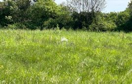 Istra, okolica Šišana, više lijepih poljoprivrednih zemljišta