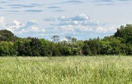 Istra, okolica Šišana, više lijepih poljoprivrednih zemljišta