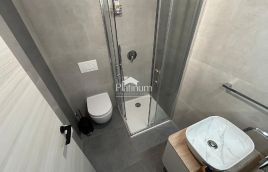 Istra, Šišan, stan s tri spavaće sobe i studio apartmanom u prizemlju