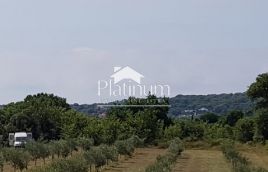 Ližnjan-olive grove with 100 maintained olive trees