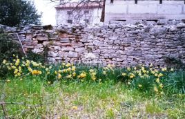 Istra, Krnica dve hiši z vrtom