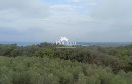 Istra, Pulj, okolica fantastična vila s pogledom na Brione