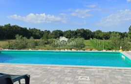 Istria, surroundings of Savičenta, holiday house with olive grove and vineyard