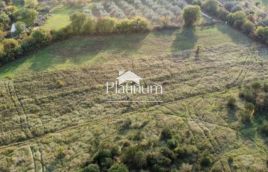 Istra,Galižana poljoprivredno zemljište na prodaju