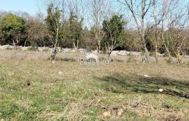 Istria, Kavran building land for sale