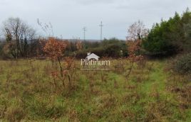 Istra, Cokuni na for sale combined land