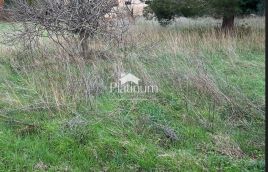 Istra, Fažana, stara kuća sa velikim zemljištem