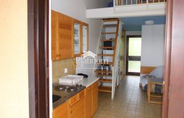 Istria, Duga uvala apartment with sea view and gallery